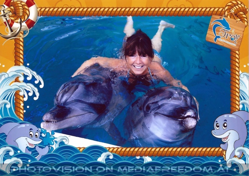 Swim with Dolphins 24