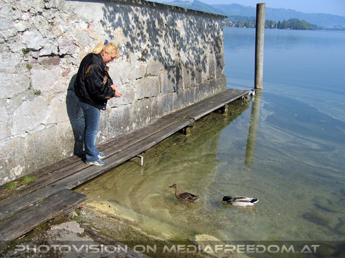 Traunsee Enten f�ttern