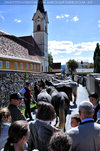 2. Station - Pferdesegnung 07