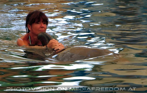 Swim with Dolphins 32