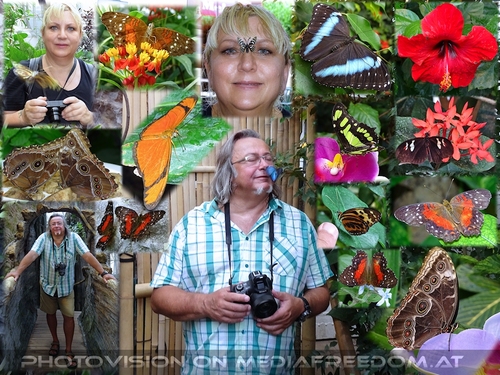 Butterfly my Butterfly...: Gabriele P., Charly Swoboda