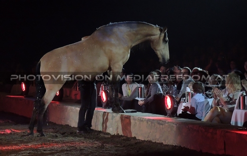 Magische Begegnungen 08