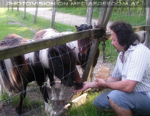 Beim Pony Au�engehege