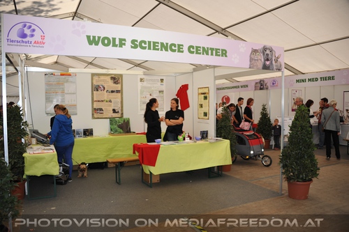 Wolf Science Center Stand