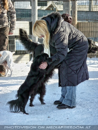 Tierparadies 08: Gabriele P.