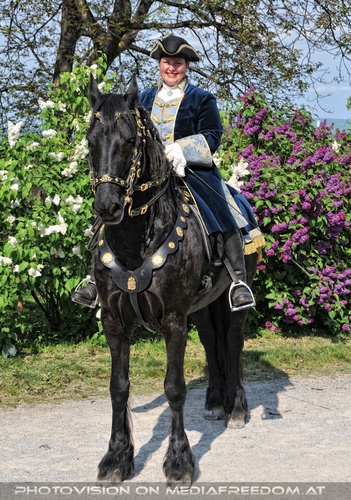 Friesen Pr�sentation 02