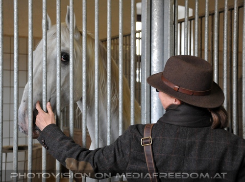 Club der Freunde des Lipizzanergest�ts 83