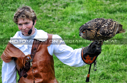 Historische Falknerei 11
