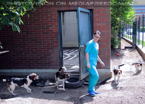 Rund um Mensch und Tier 27