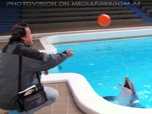 Die Zukunft hei�t DelphinLagune 43