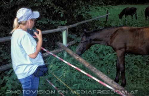 Auf der Lipizzaner Weide 12: Gabriele P.