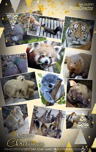 Tierisch fr�hliche Weihnachten: Gabriele P., Charly Swoboda