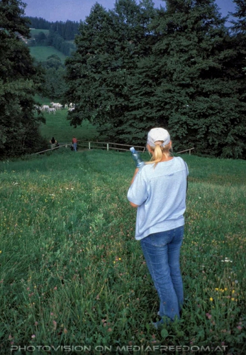 Auf der Lipizzaner Weide 14