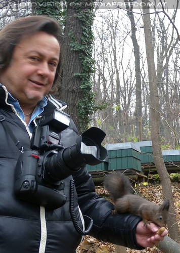 Eichk�tzchen f�ttern 04