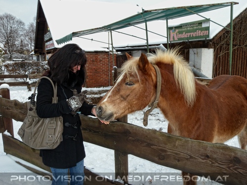 Winterlich 08 am Bauernhof