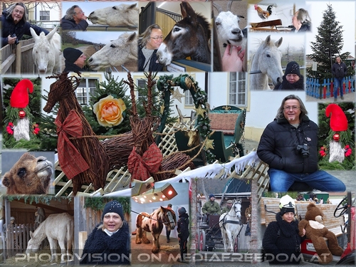 Tierische Weihnachtsstimmung