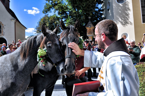 2. Station - Pferdesegnung 20