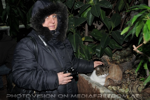 Mit der Tiergarten Katze 2