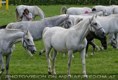 Auf der Weide 30: Charly Swoboda