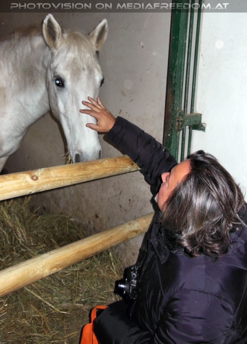 Stallungen 07: Charly Swoboda