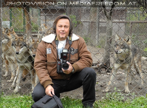 W�lfe - Beste Gesellschaft