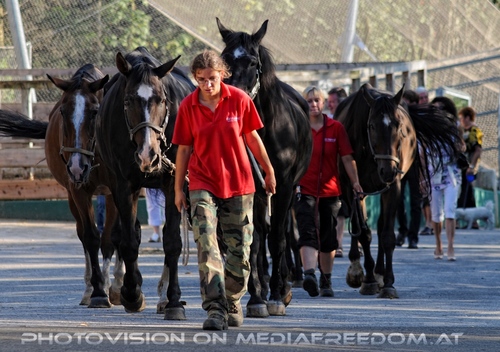 Hemmungslos Liebe 50