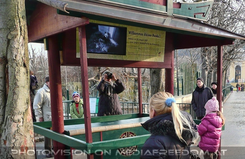 Fu Long - Panda TV: Gabriele P.