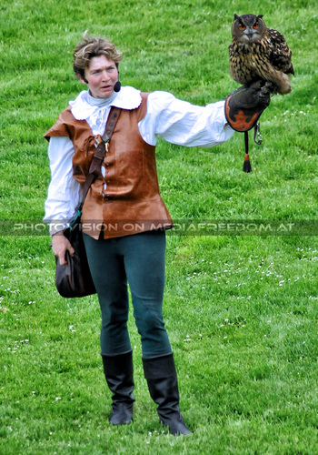 Historische Falknerei 12