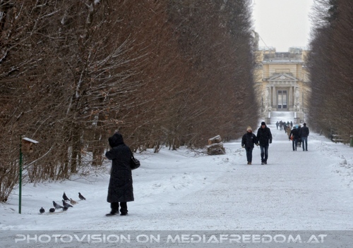 V�gel f�ttern 03