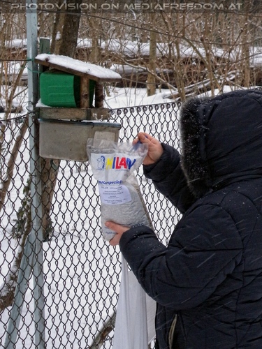 V�gel f�ttern 01