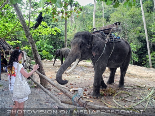 Namuang Jungle Elephant Trip 30
