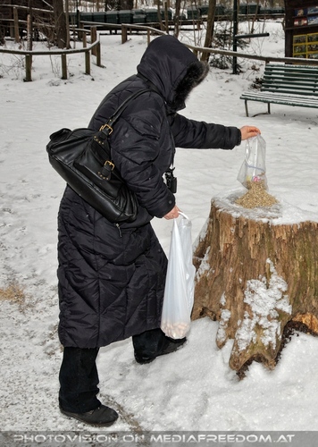 V�gel f�ttern 04