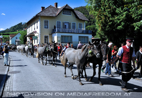 3. Station - nach K�flach 19