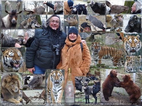 Ein tierischer Geburtstag: Gabriele P., Charly Swoboda