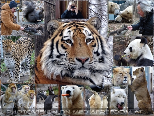 Einfach sch�n fotogen: Gabriele P., Charly Swoboda