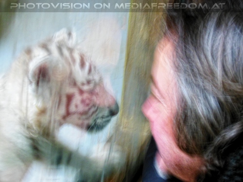 Kinderstube der wei�en Tiger Drillinge 63: Charly Swoboda