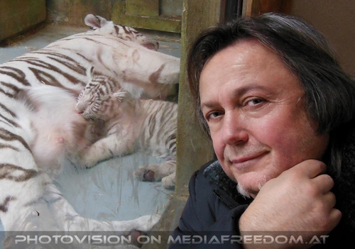 Kinderstube der wei�en Tiger Drillinge 67