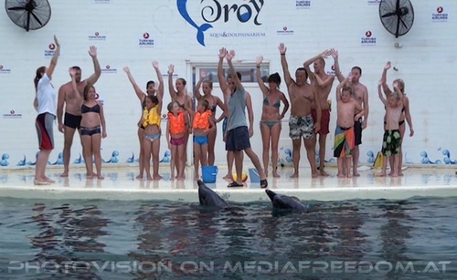 Swim with Dolphins 42