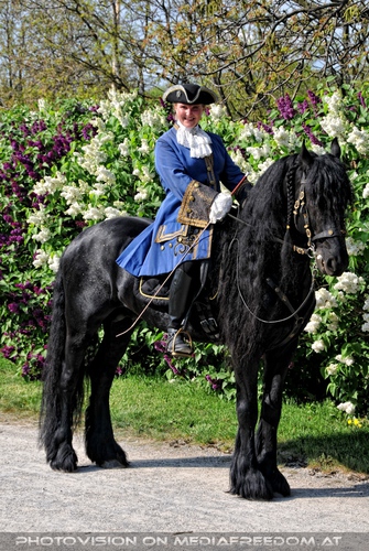 Friesen Pr�sentation 03