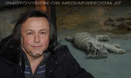 White Tiger Family 28