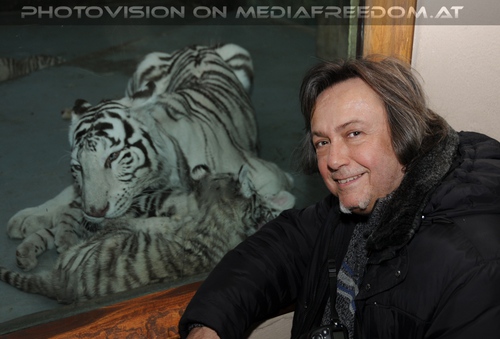 White Tiger Family 51