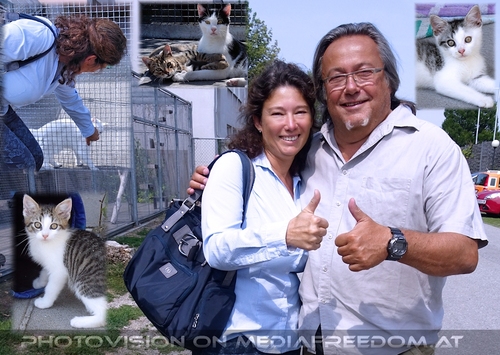 Ich will A EINS, Zwei, drei oder vier...: Andrea B., Charly Swoboda