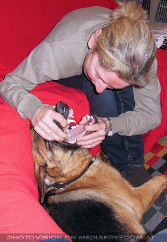 Holly Time 10: Andrea S.,Holly 