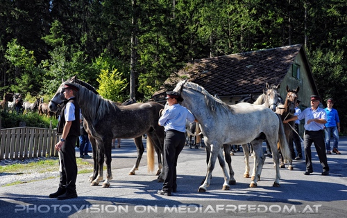 Rast beim Gasthof Wiendl 01: Andreas J�ger