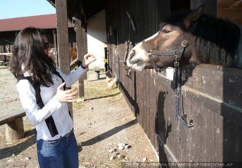 Princess B. - Horsewomanship