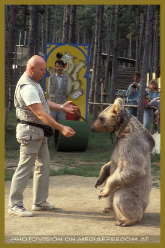 Den Tanzb�r gibt's nicht mehr, aber.........