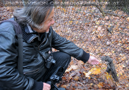 Eichk�tzchen 01: Charly Swoboda