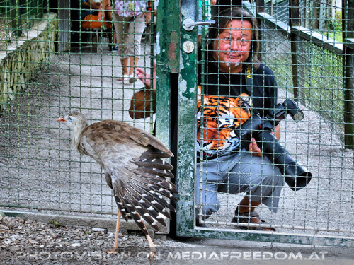 Fotografen 4: Charly Swoboda