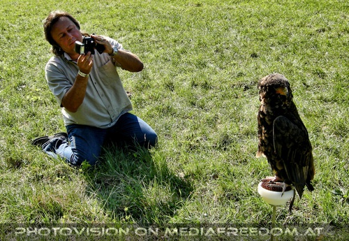 Adlerfotograf: Charly Swoboda