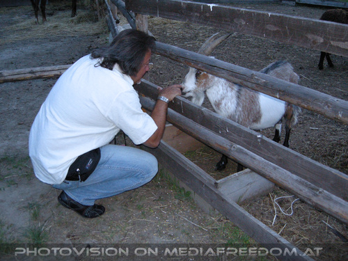 50th independence Birthday 10
